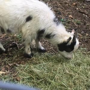 Meet your Posher, Bradley